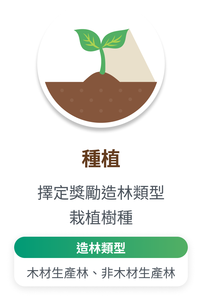 造林獎勵五步驟：種植
