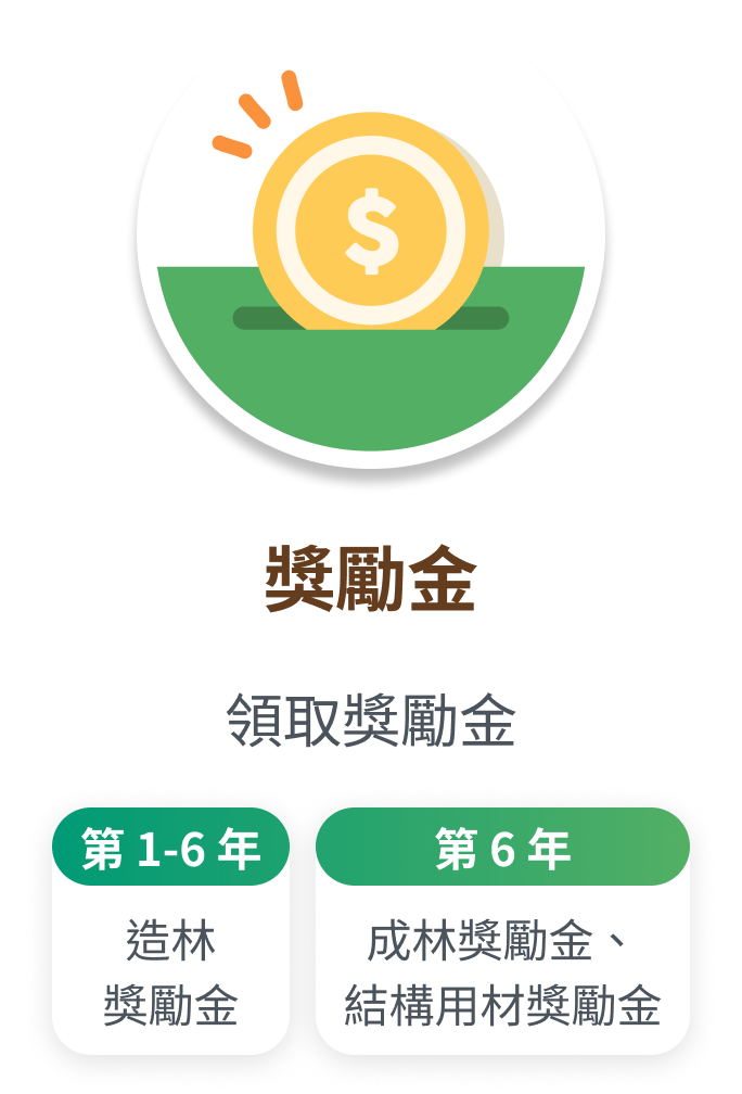 造林獎勵五步驟：獎勵金