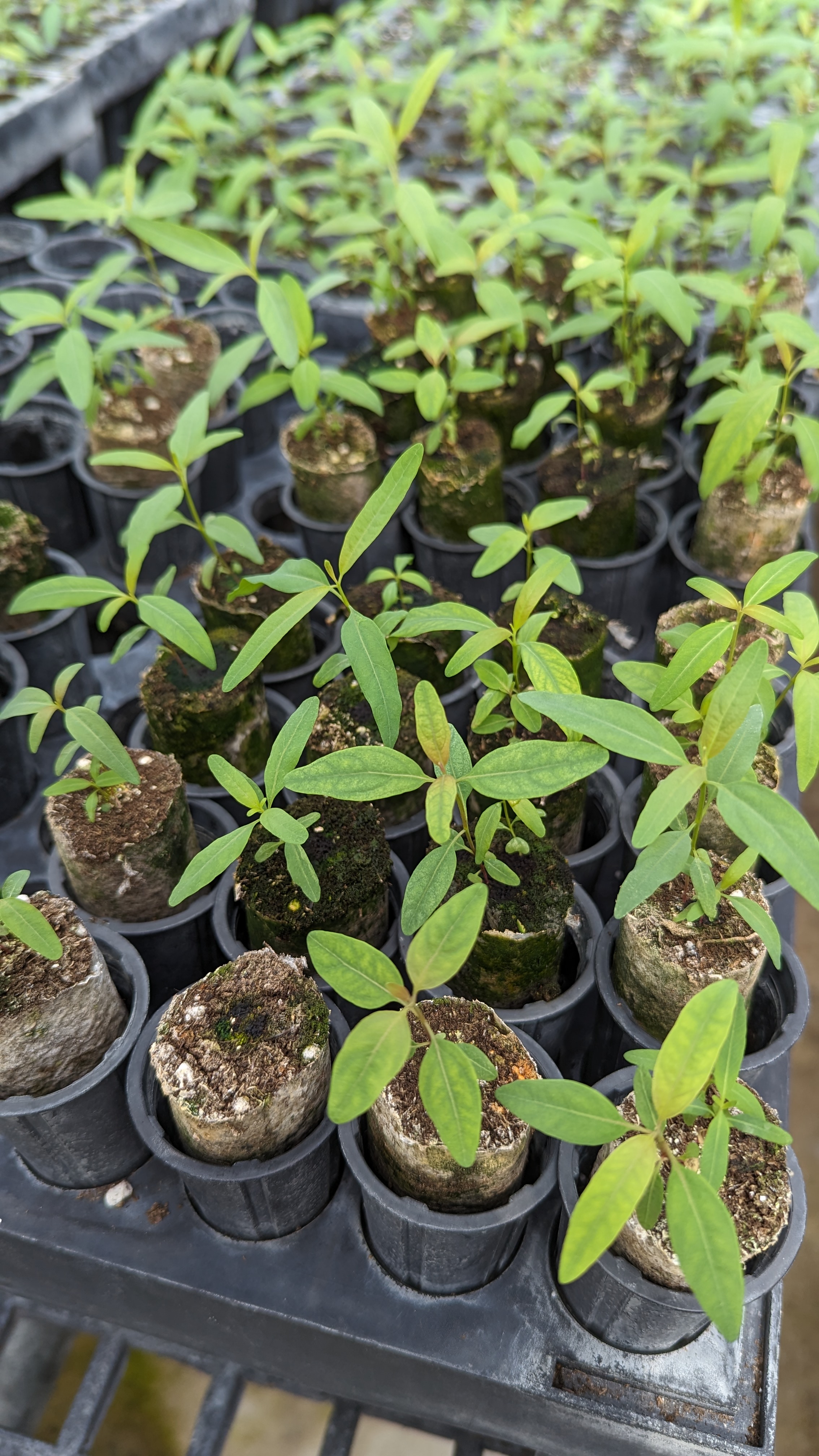 跑馬燈照片4